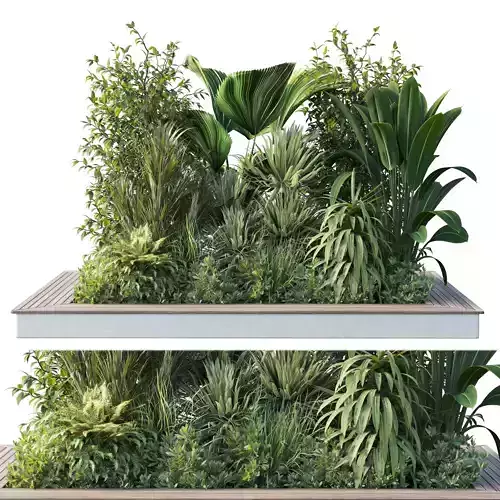 Garden plants set in a box - outdoor set 161