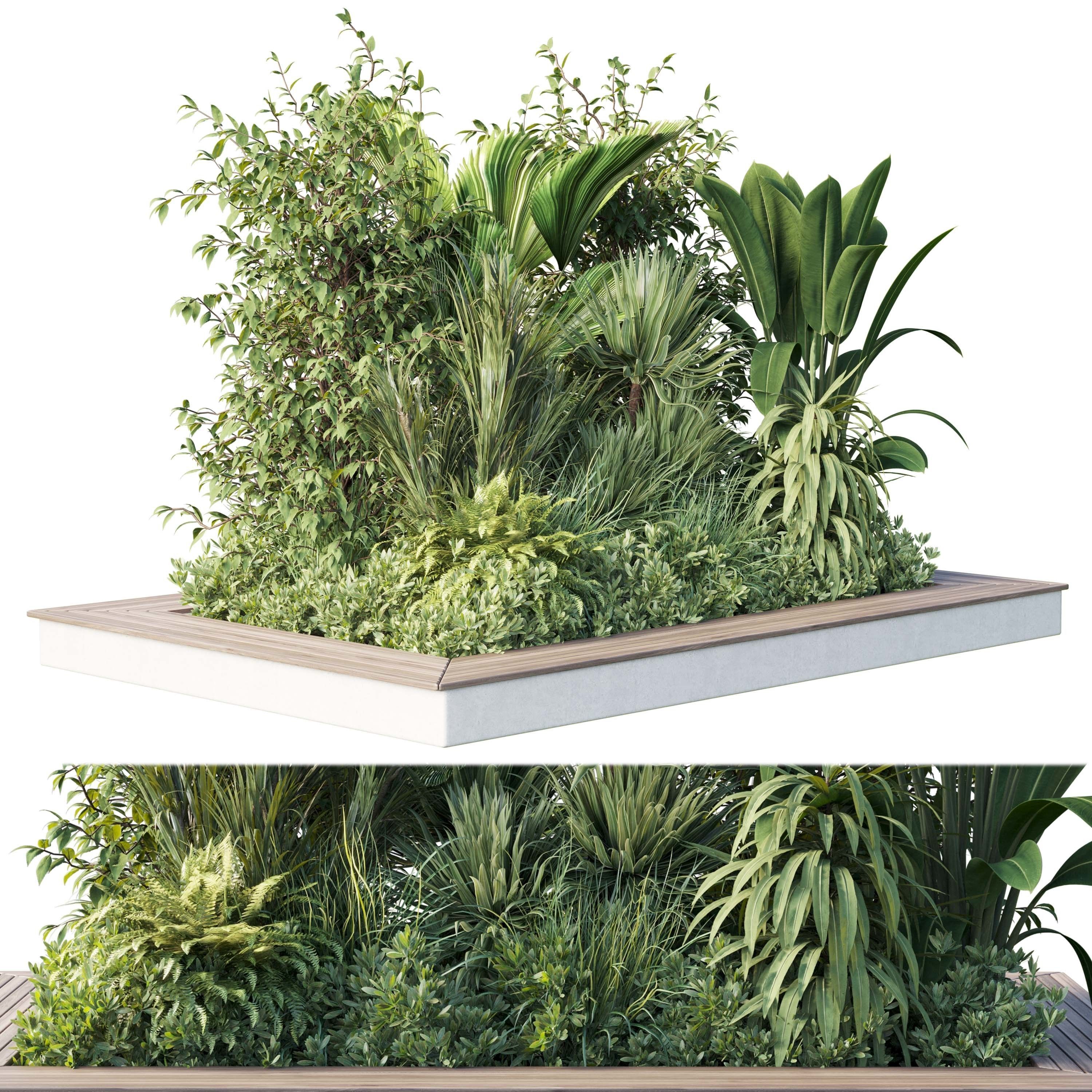 Garden plants set in a box - outdoor set 161 Low-poly 3D model_5