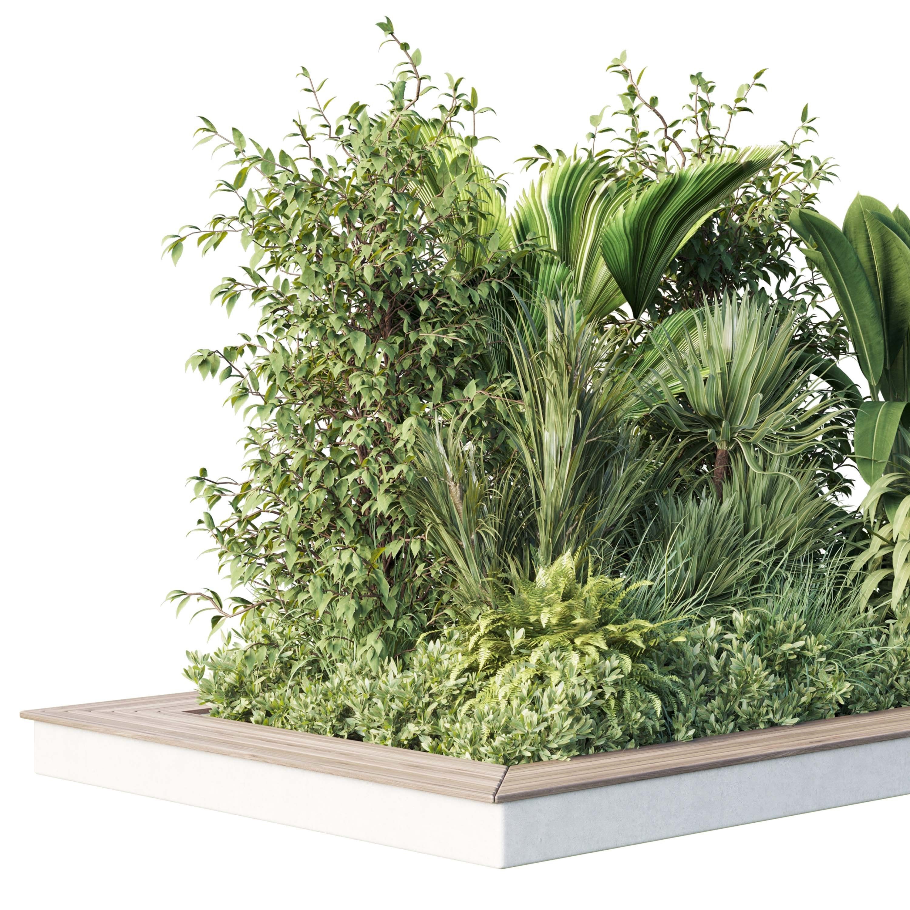 Garden plants set in a box - outdoor set 161 Low-poly 3D model_1