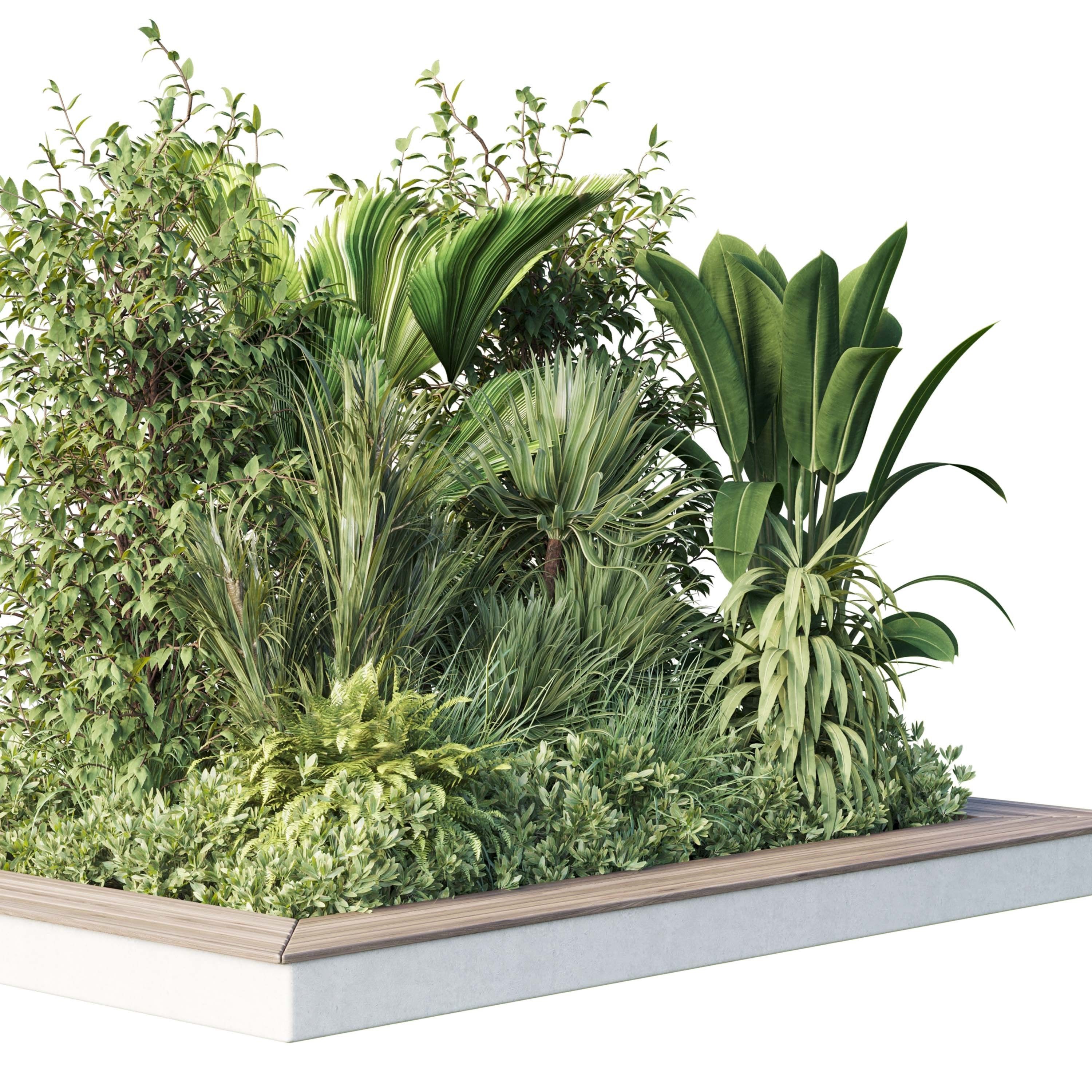 Garden plants set in a box - outdoor set 161 Low-poly 3D model_2
