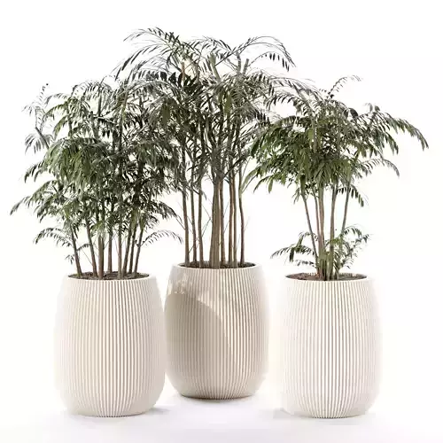  plant indoor set 12