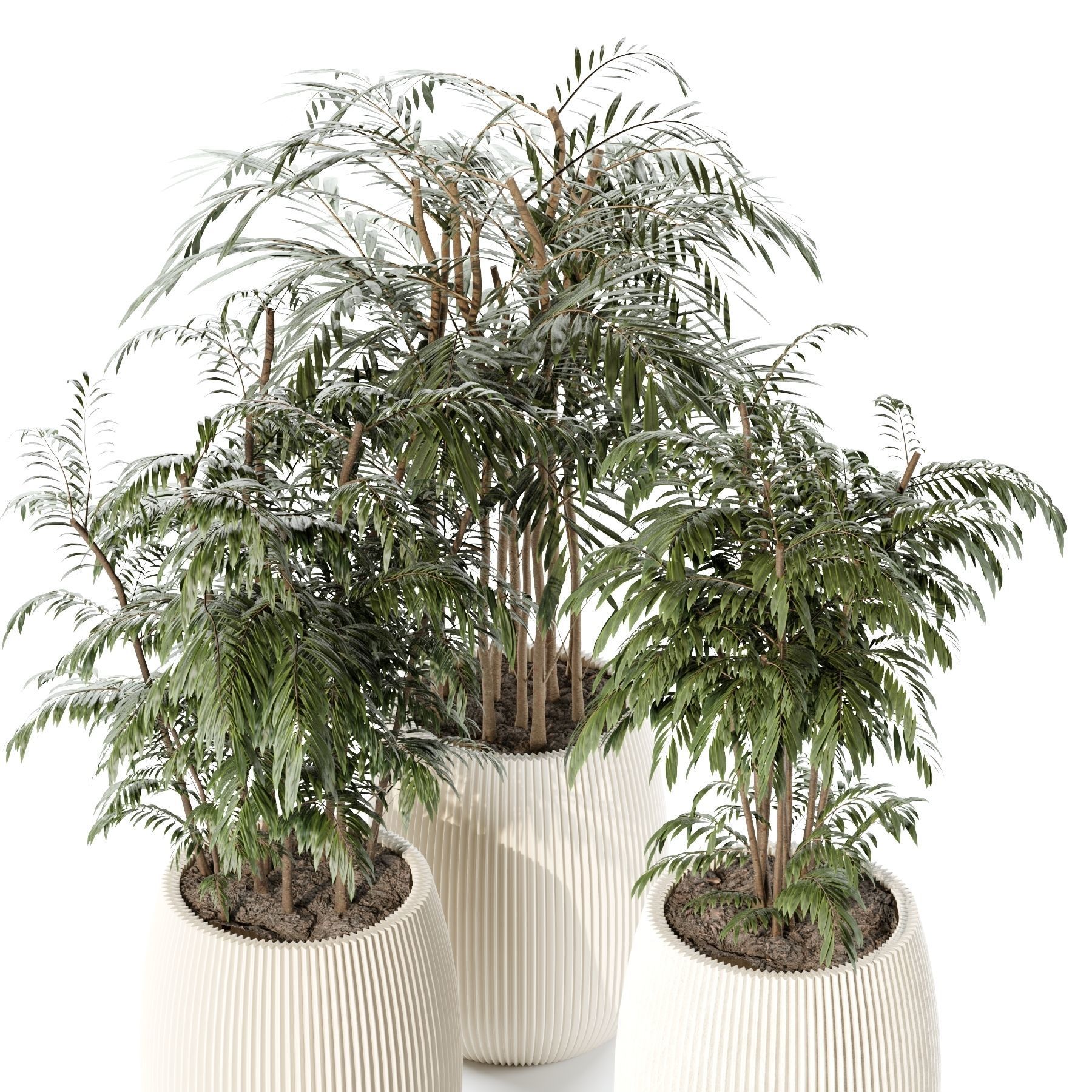 plants collection set 03 _12