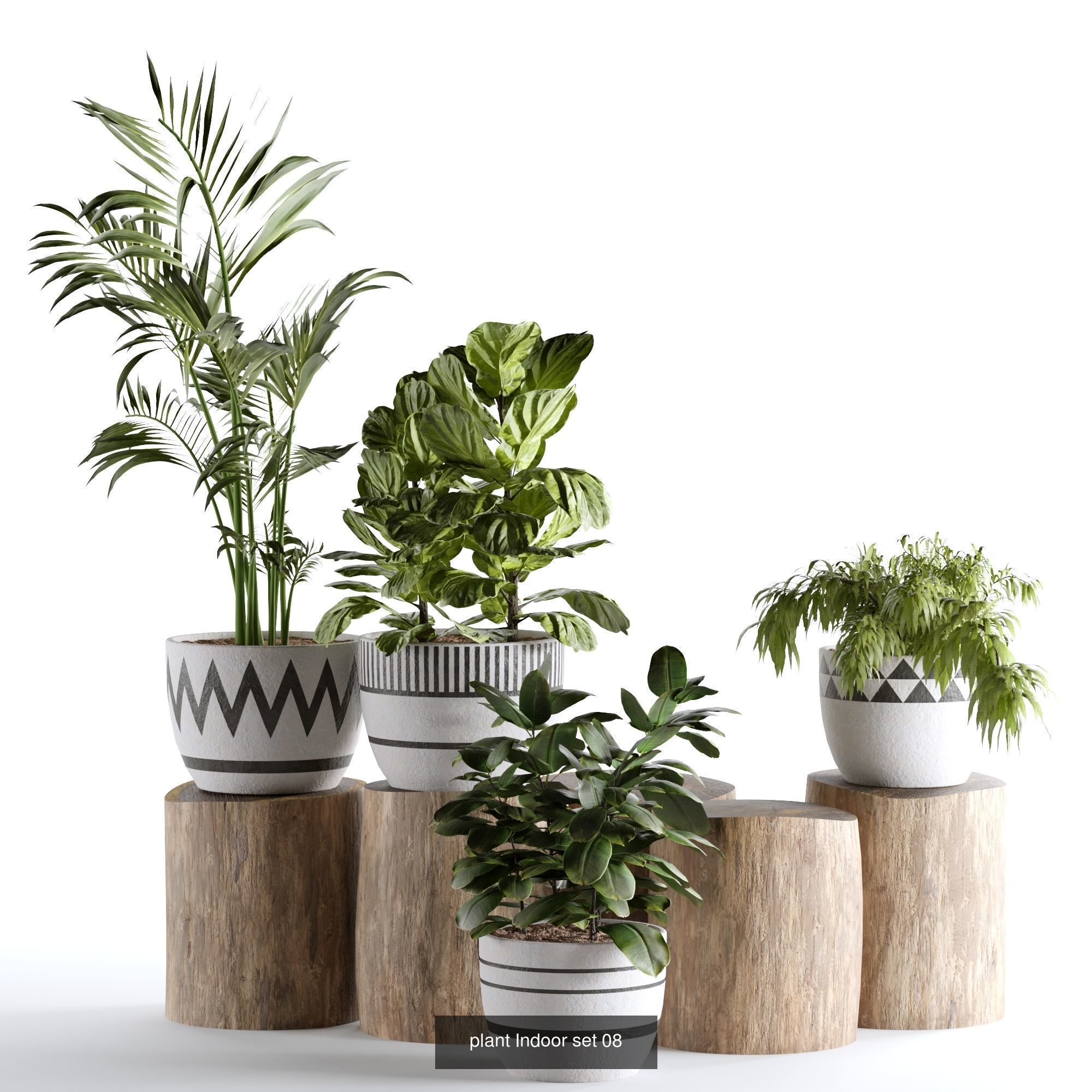 plants collection set 03 _1