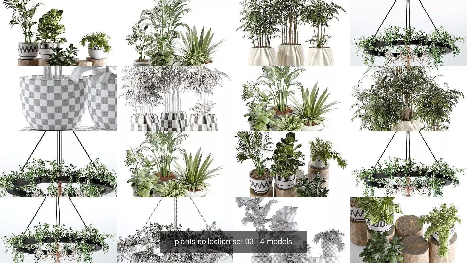 plants collection set 03 _0