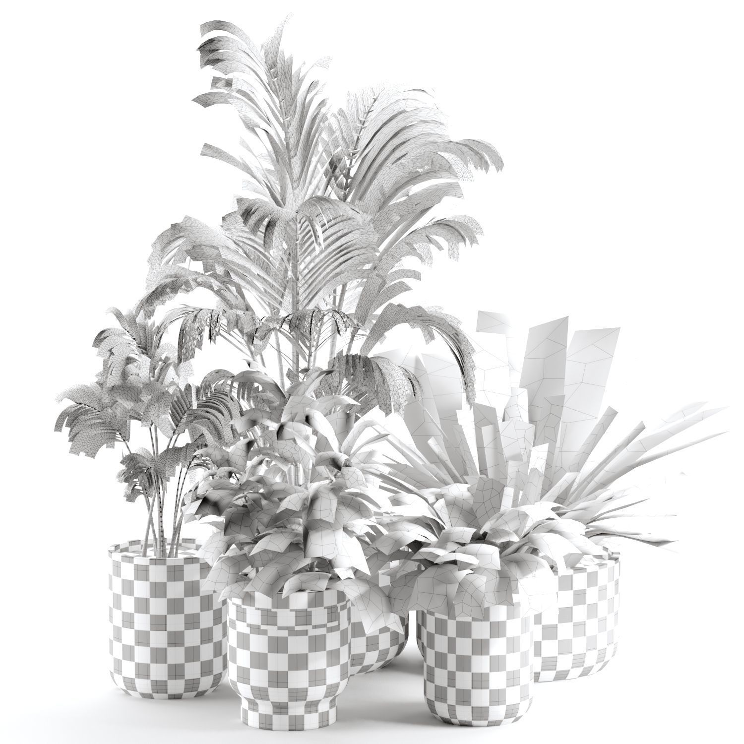 plants collection set 03 _5