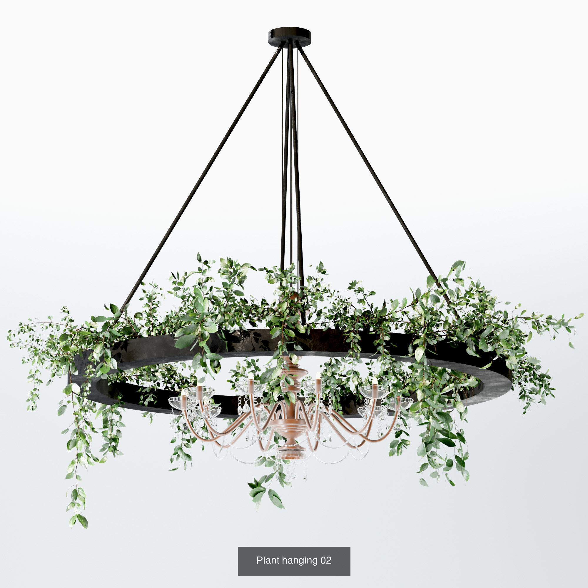 plants collection set 03 _4