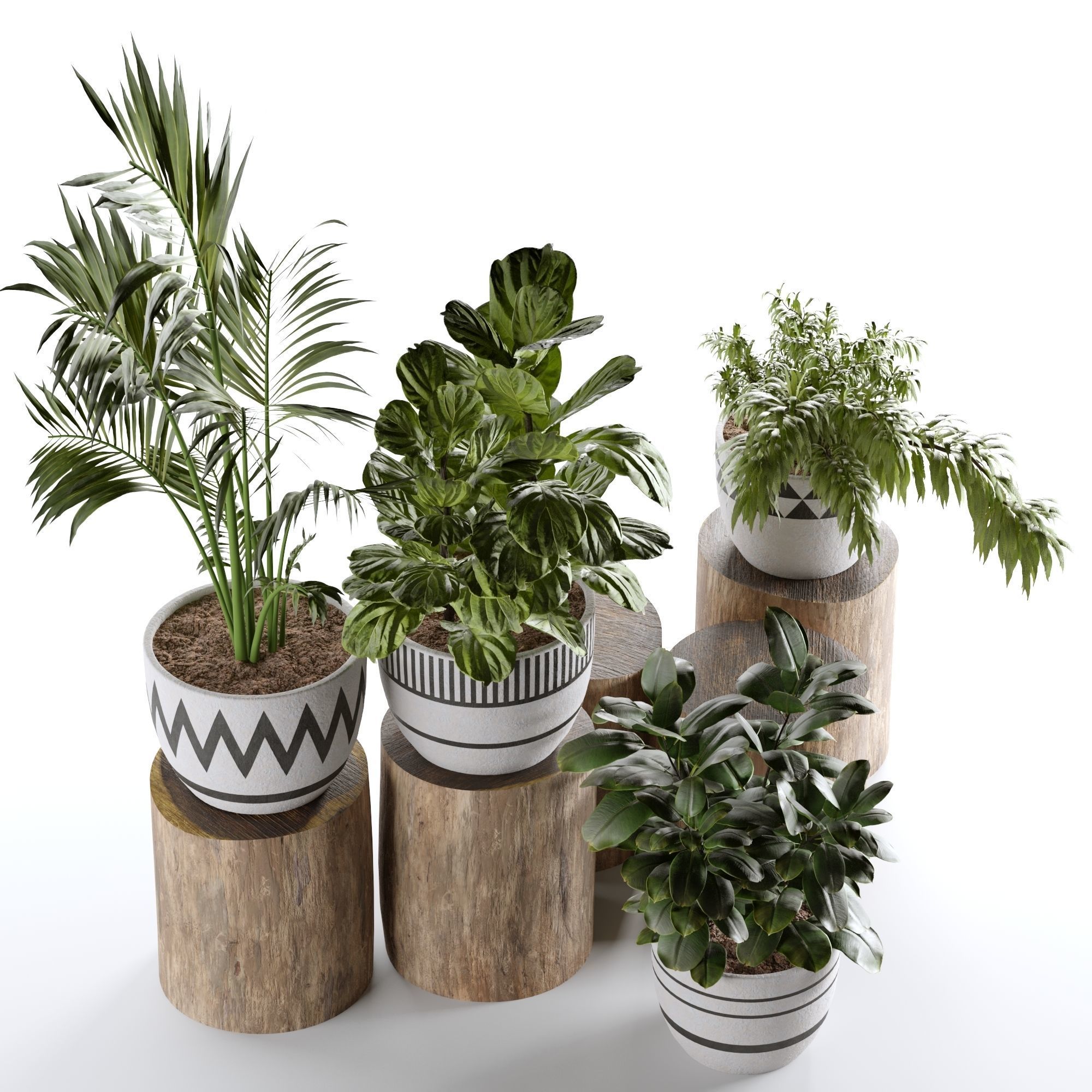 plants collection set 03 _9