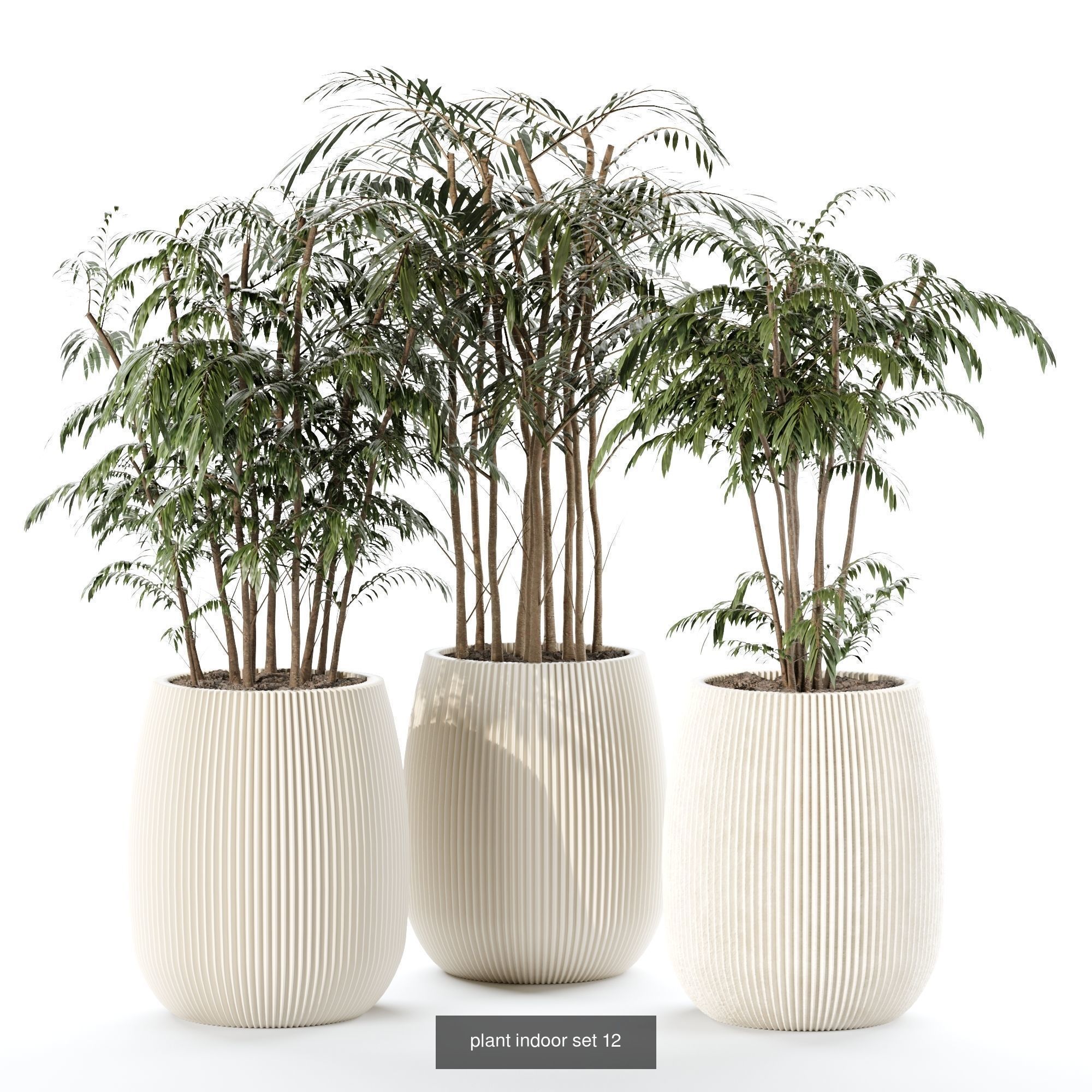 plants collection set 03 _3