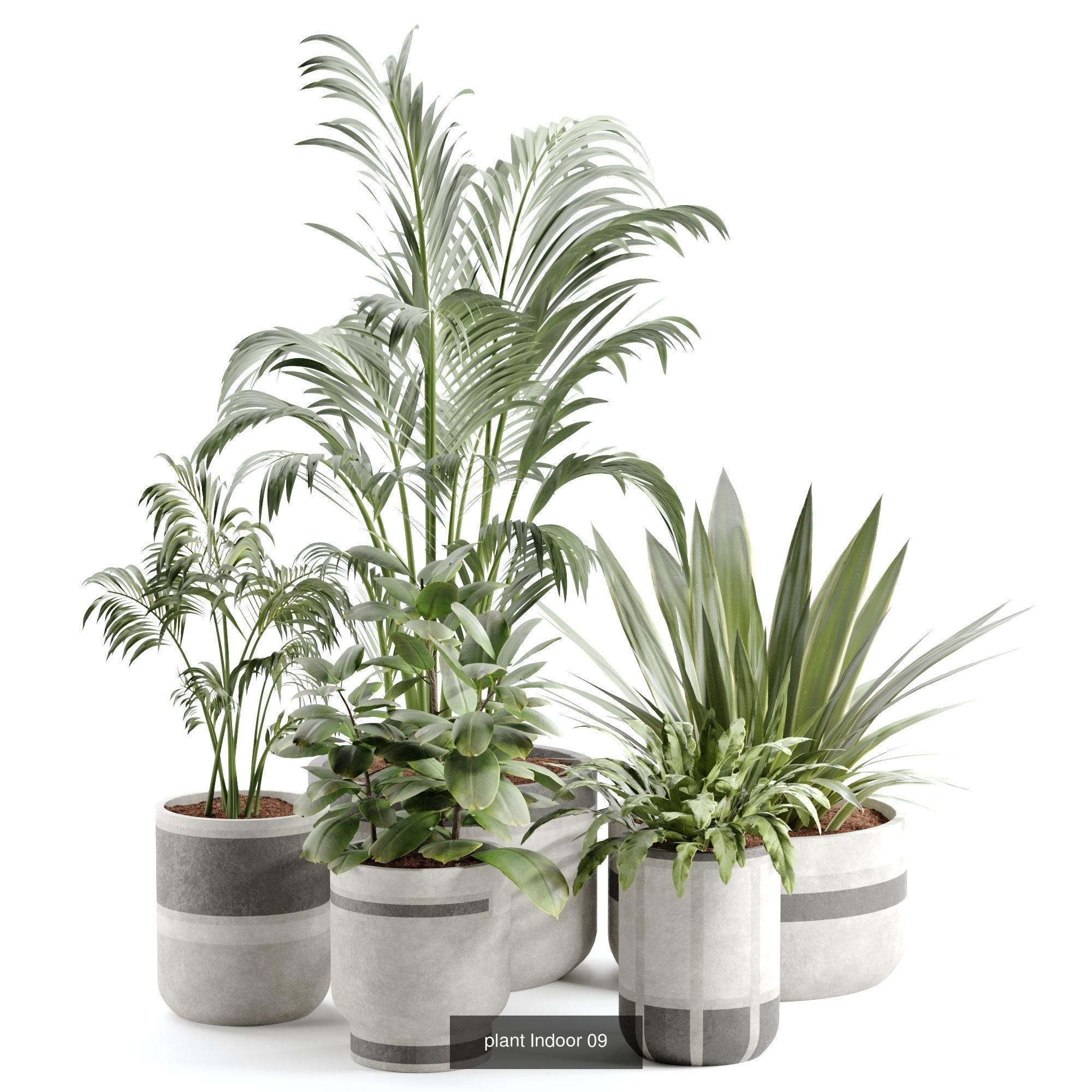 plants collection set 03 _2