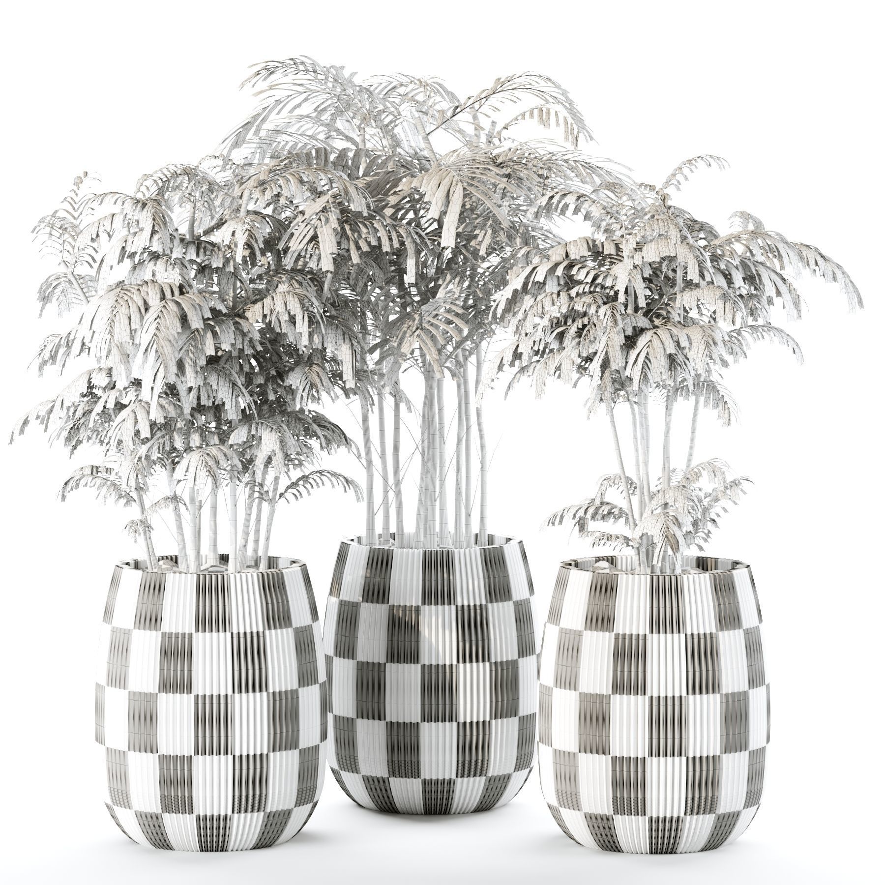 plants collection set 03 _11