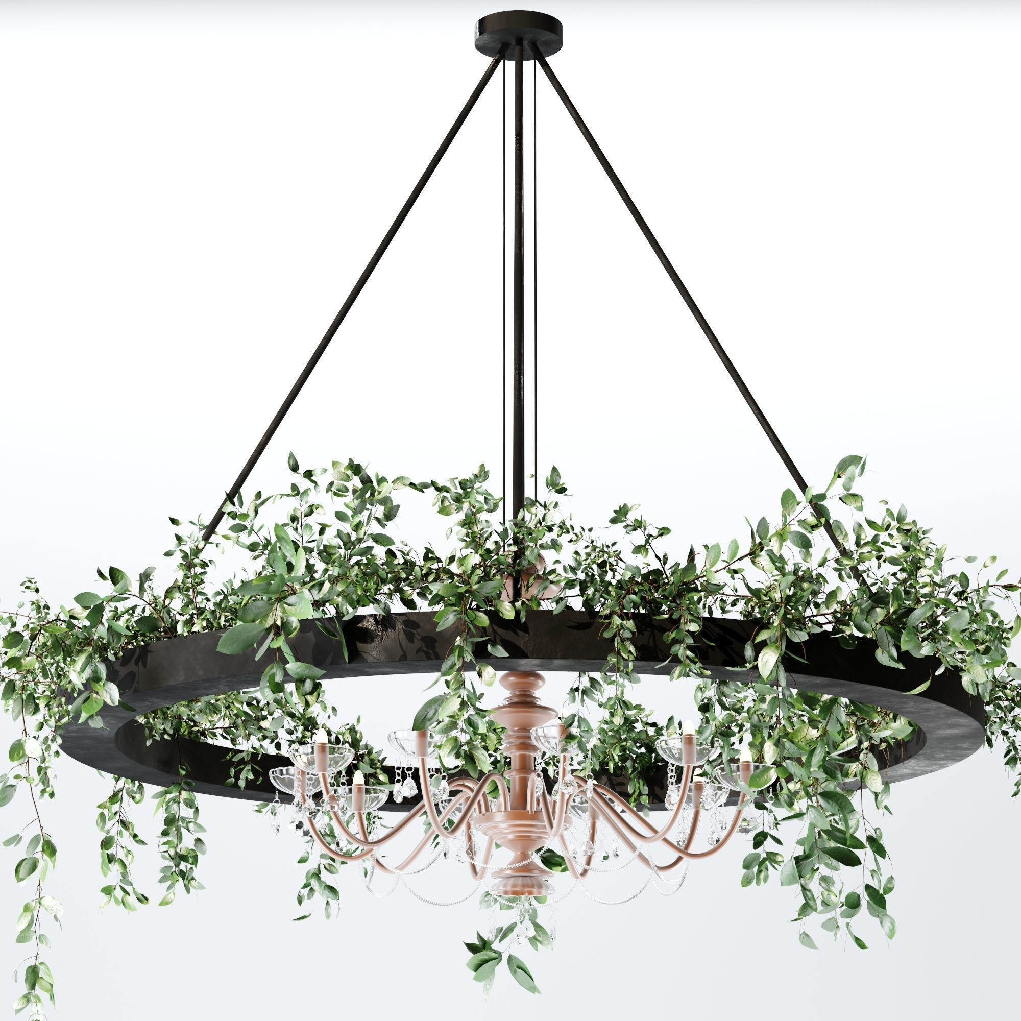 plants collection set 03 _13