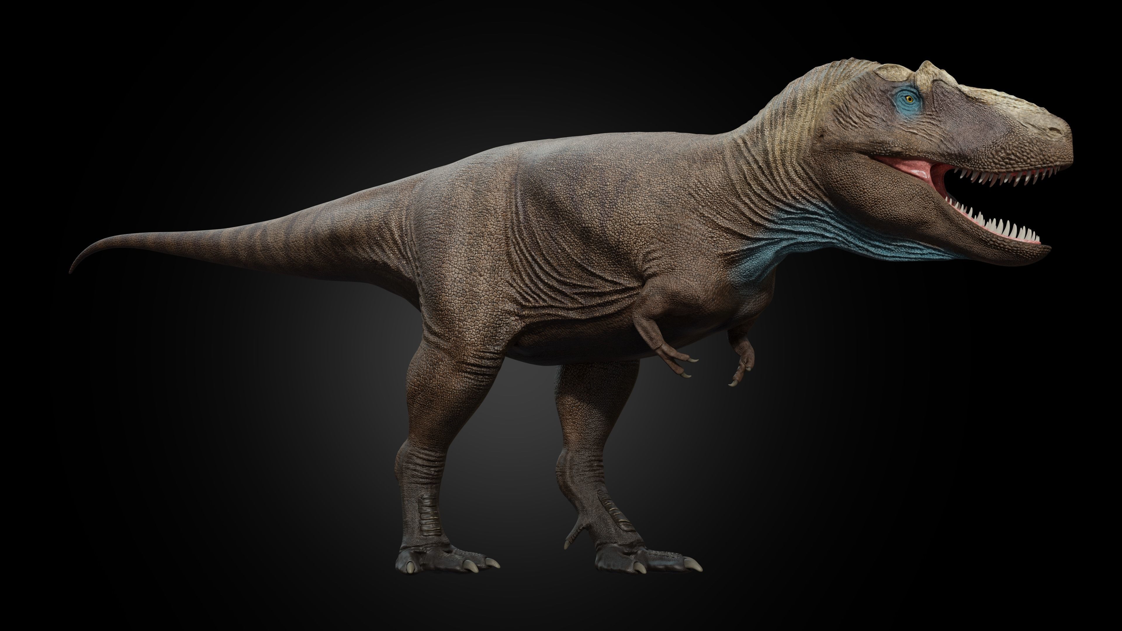 Daspletosaurus torosus Low-poly 3D model_1
