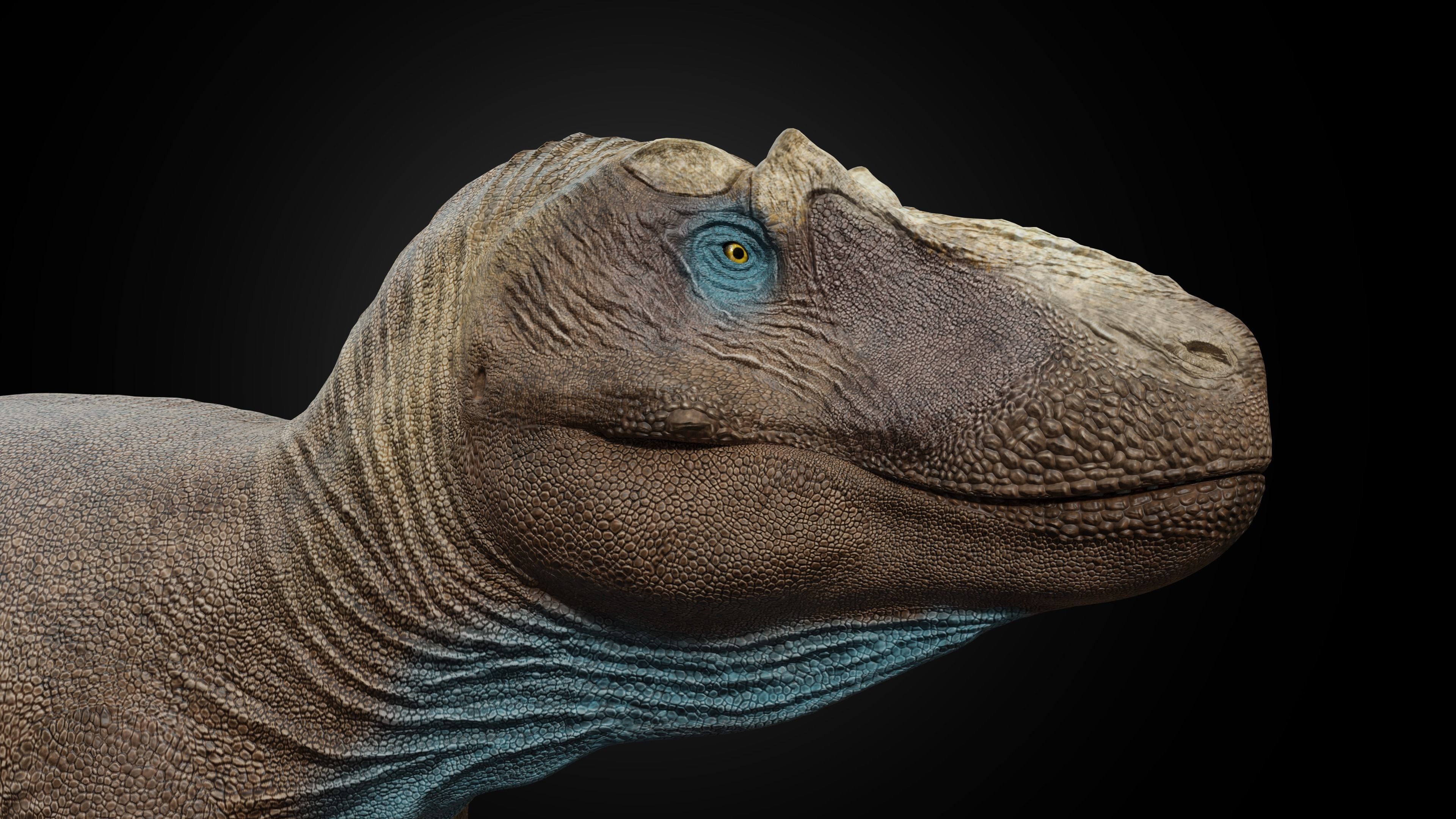 Daspletosaurus torosus Low-poly 3D model_3