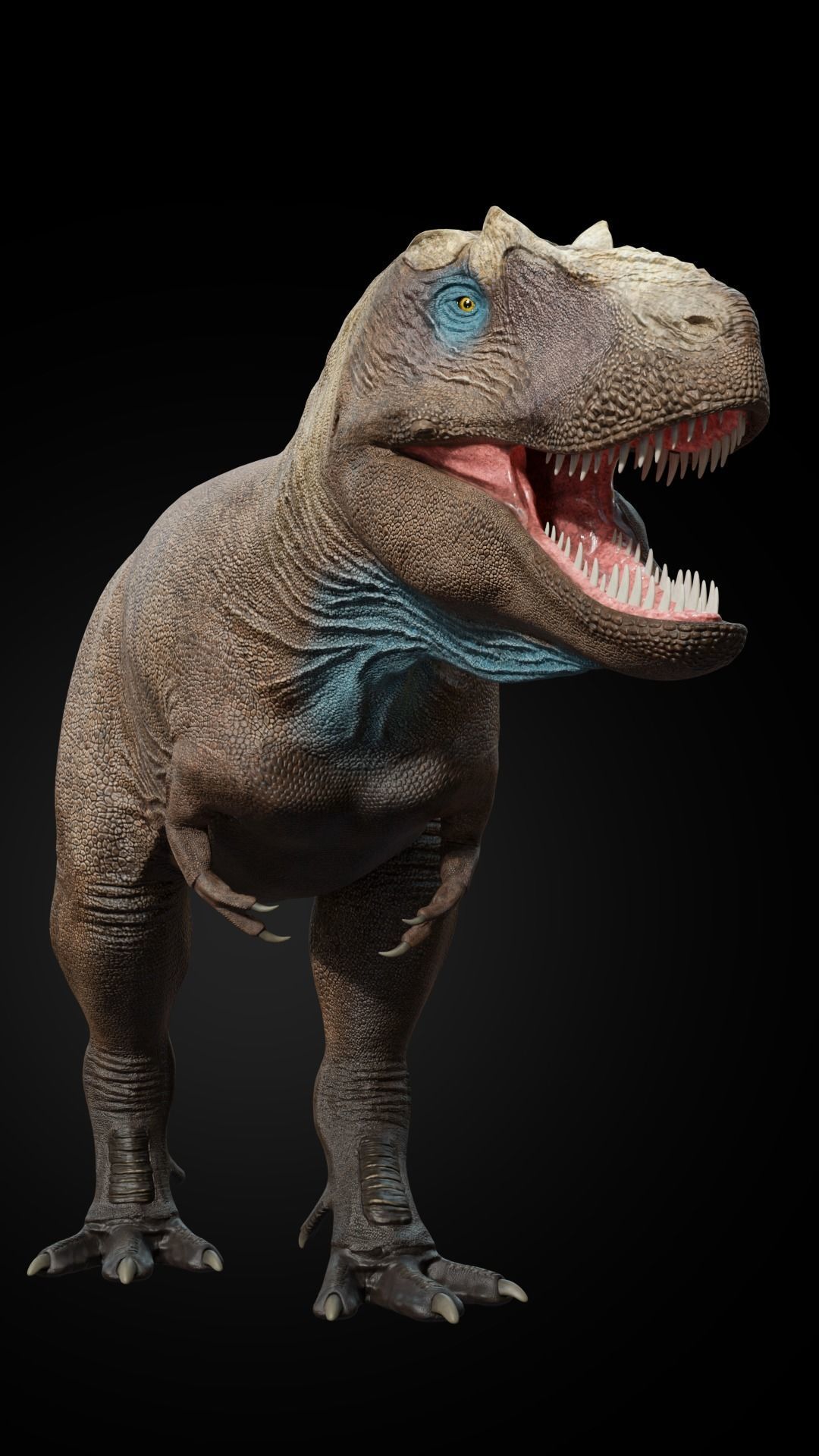 Daspletosaurus torosus Low-poly 3D model_2