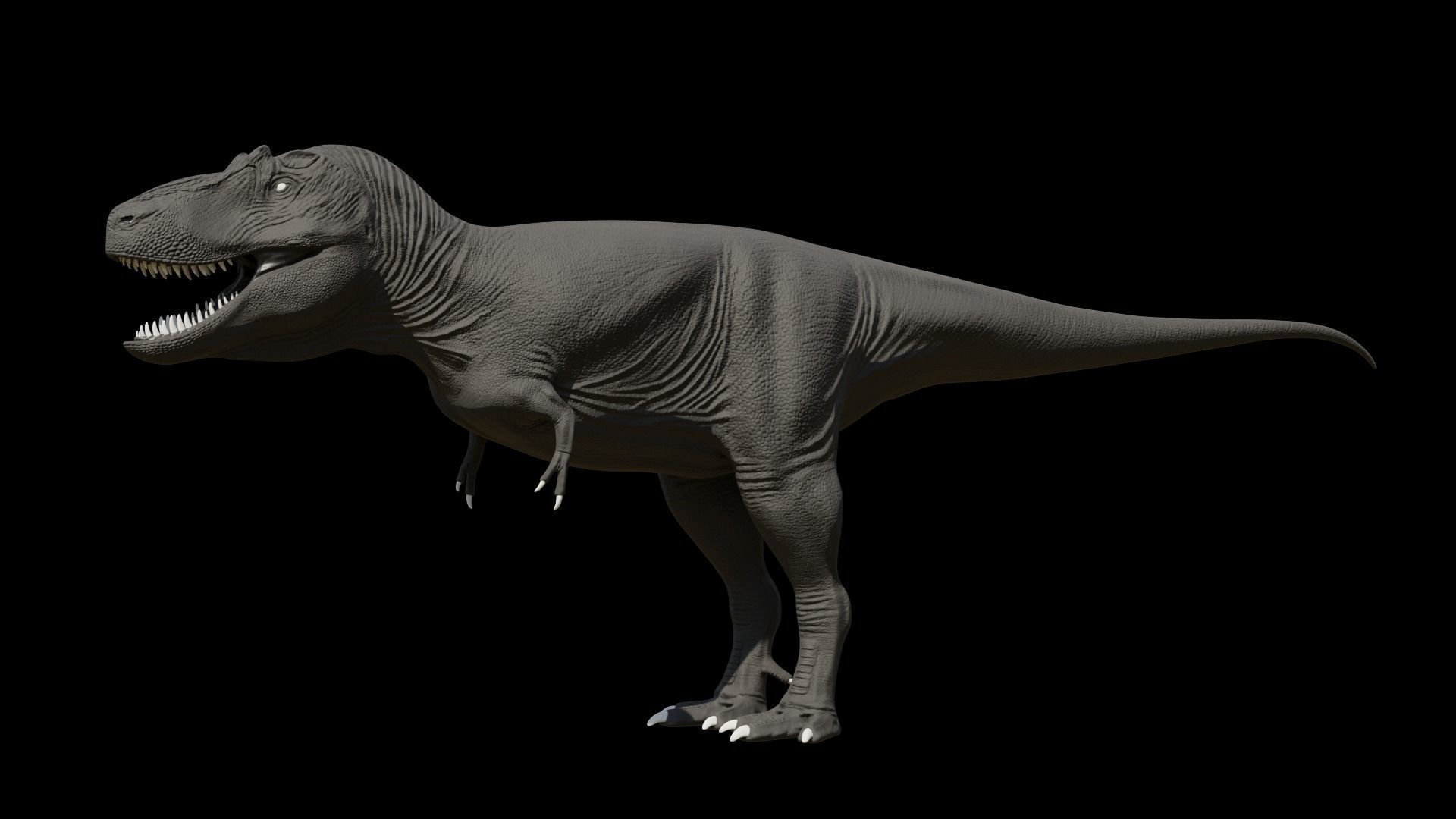 Daspletosaurus torosus Low-poly 3D model_7