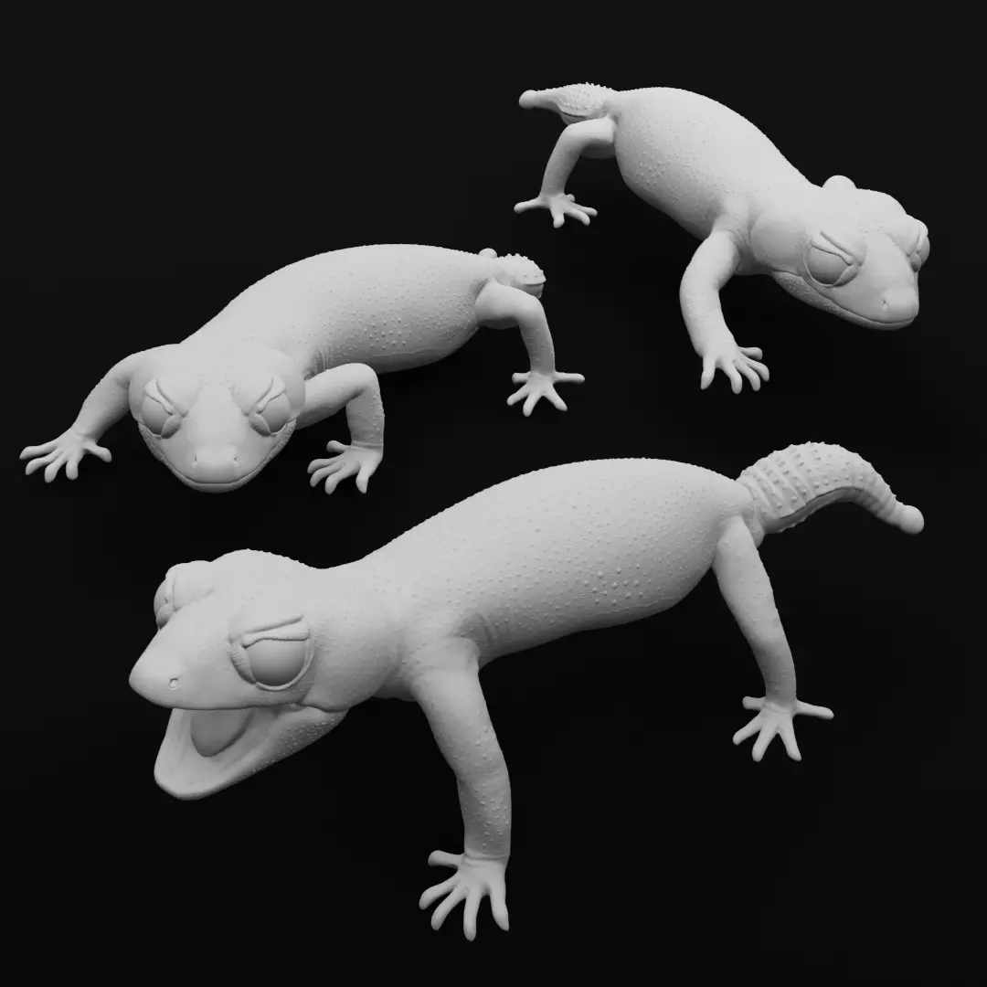 Pernatty Knob Tailed Gecko Nephrurus Deleani 3D print model_0
