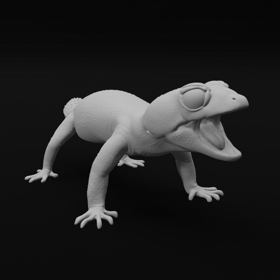 Pernatty Knob Tailed Gecko Nephrurus Deleani 3D print model_2