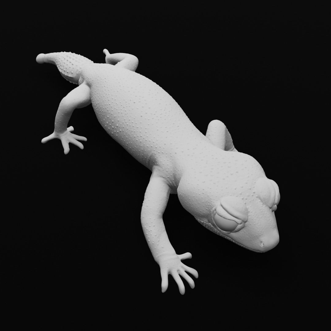 Pernatty Knob Tailed Gecko Nephrurus Deleani 3D print model_10