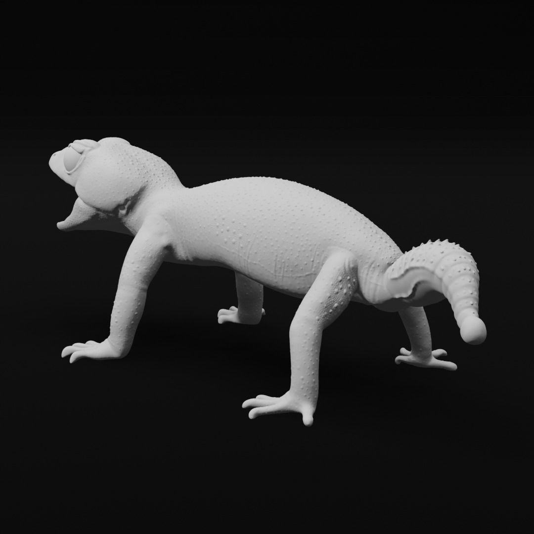 Pernatty Knob Tailed Gecko Nephrurus Deleani 3D print model_4