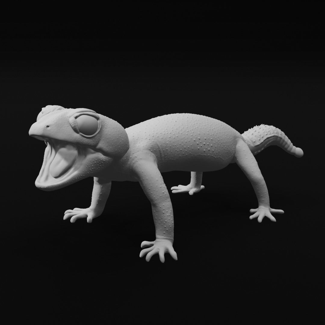 Pernatty Knob Tailed Gecko Nephrurus Deleani 3D print model_1