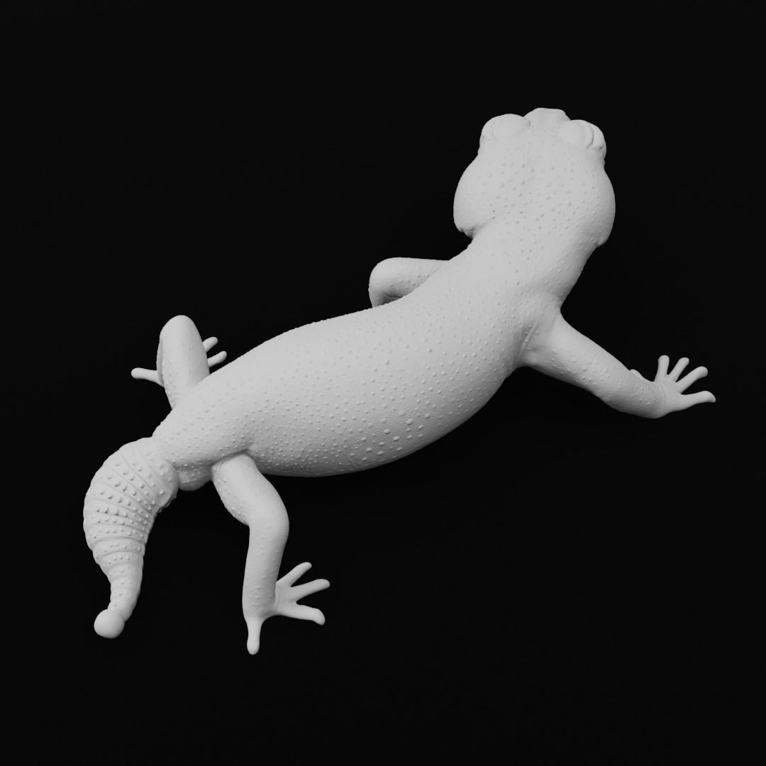 Pernatty Knob Tailed Gecko Nephrurus Deleani 3D print model_6
