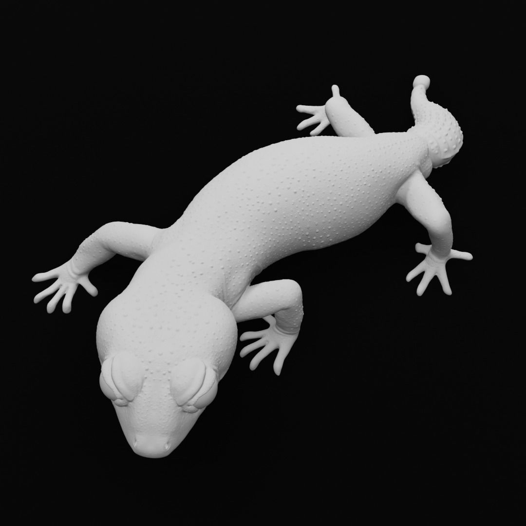 Pernatty Knob Tailed Gecko Nephrurus Deleani 3D print model_8