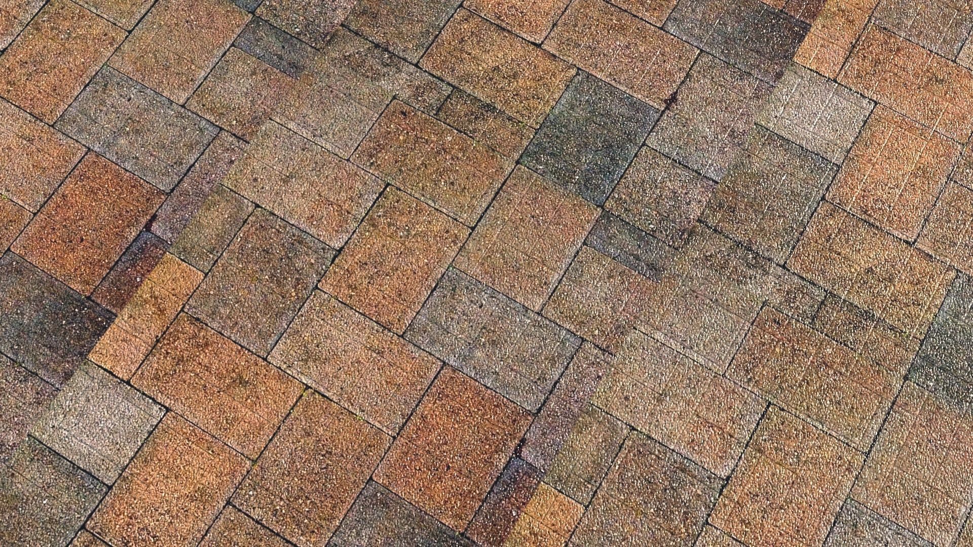 Chess Park 3D model_10