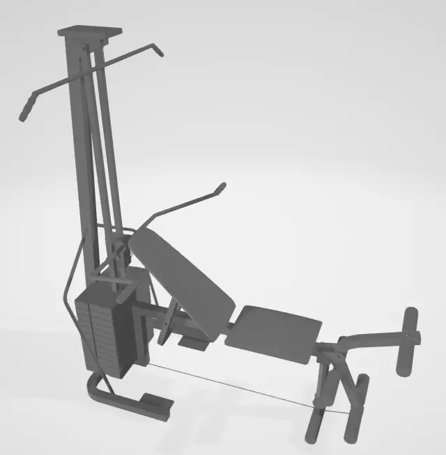PESAS 3D model