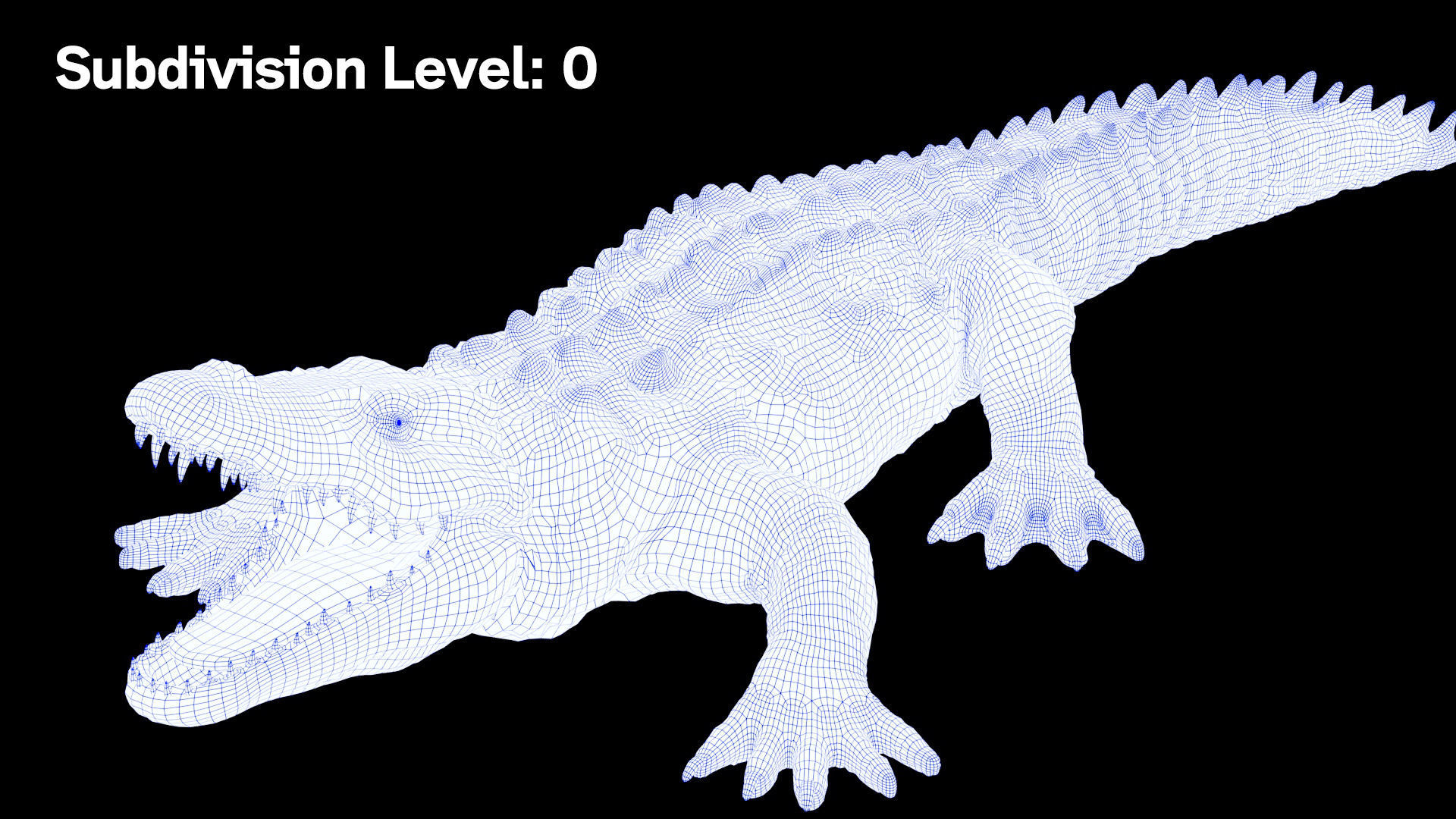 CROCODILE 3D model_5