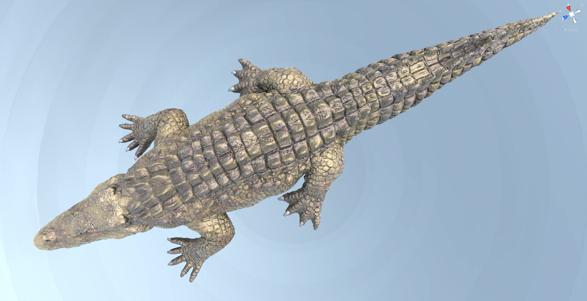 CROCODILE 3D model_7