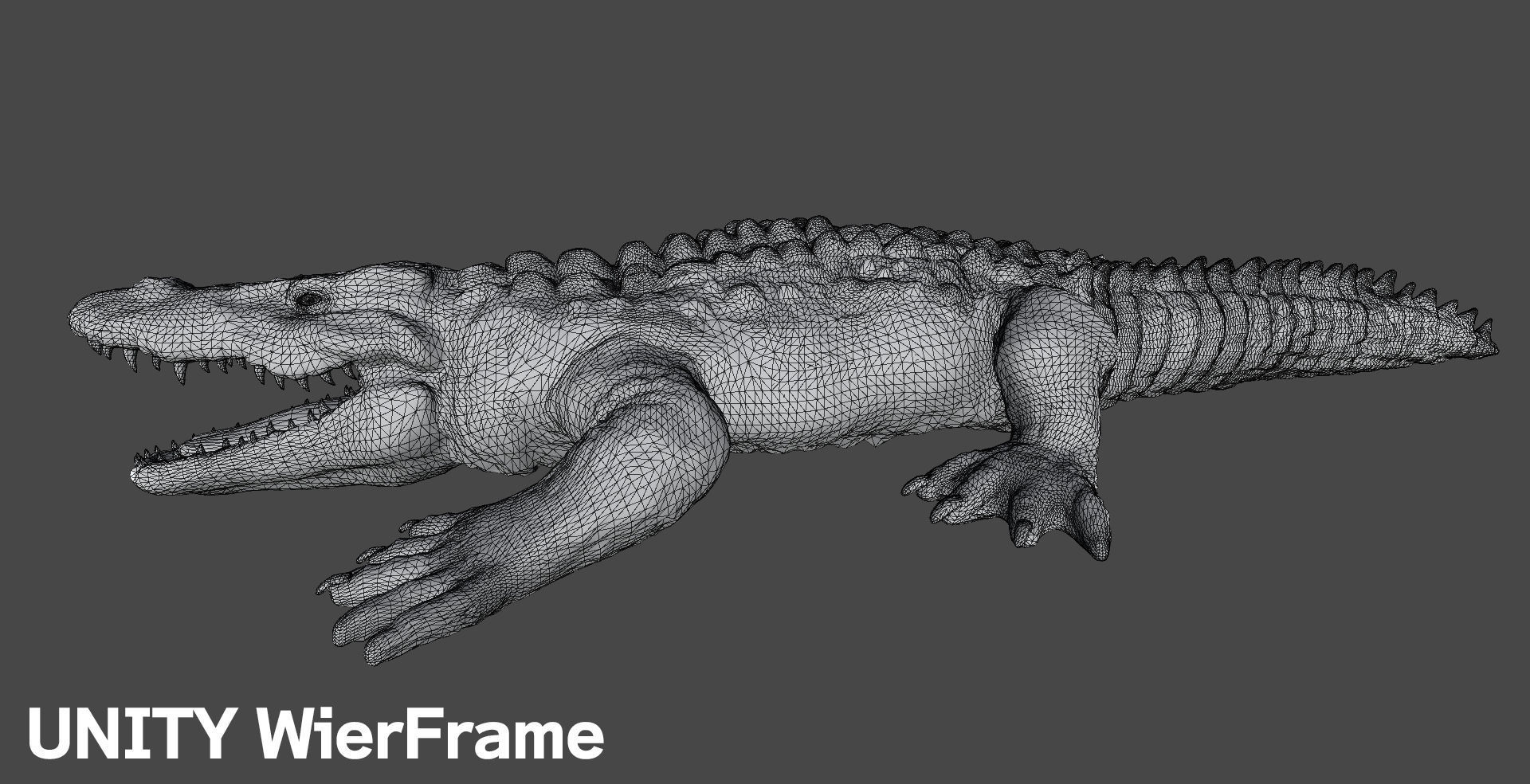 CROCODILE 3D model_8