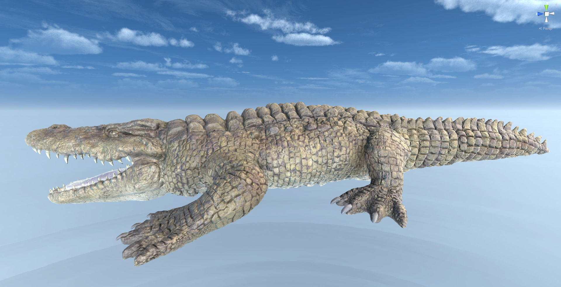 CROCODILE 3D model_6