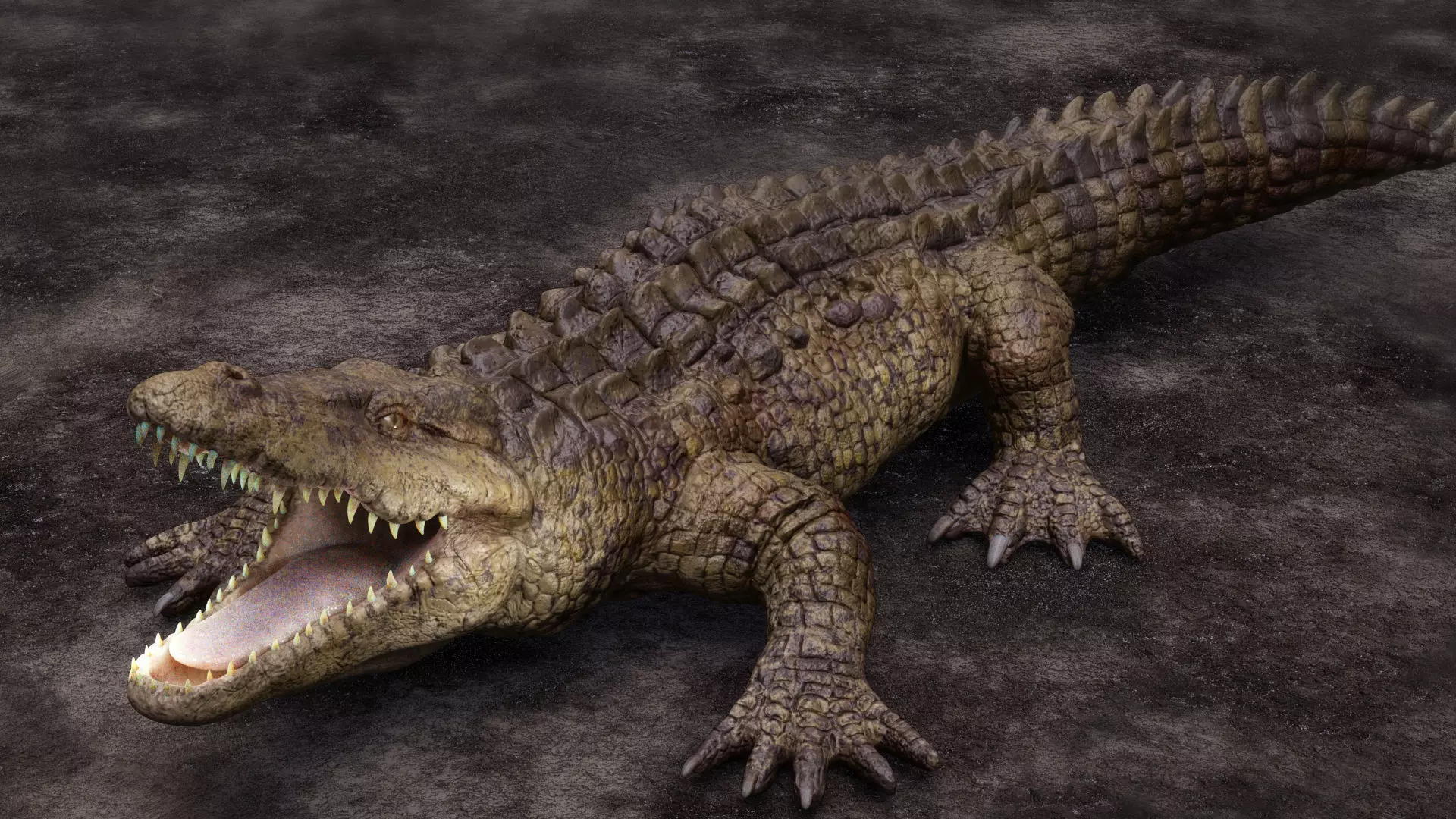 CROCODILE 3D model_0