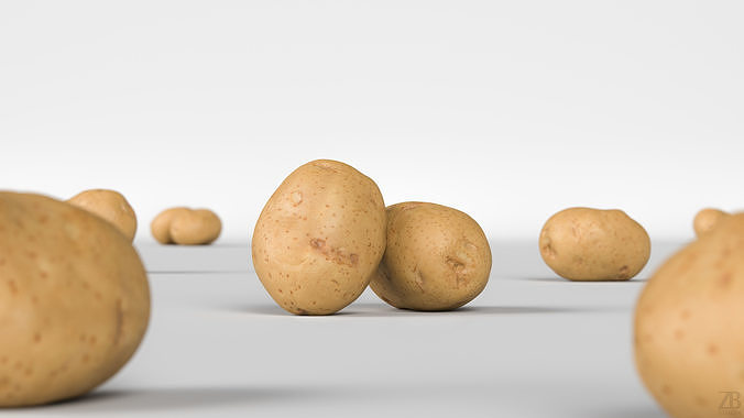 Potato 3D model 2