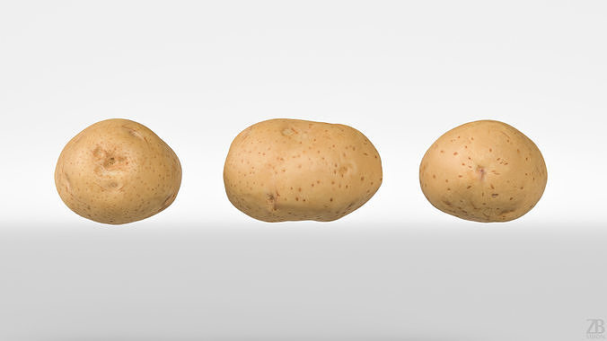 Potato 3D model 5