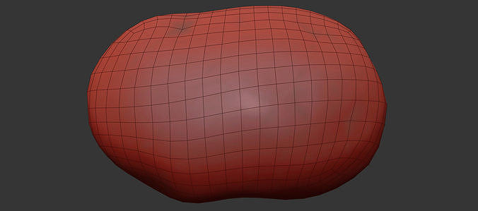 Potato 3D model 7