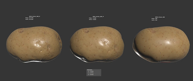 Potato 3D model 6