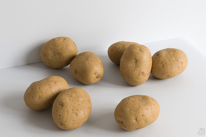 Potato 3D model