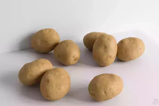 Potato 3D model