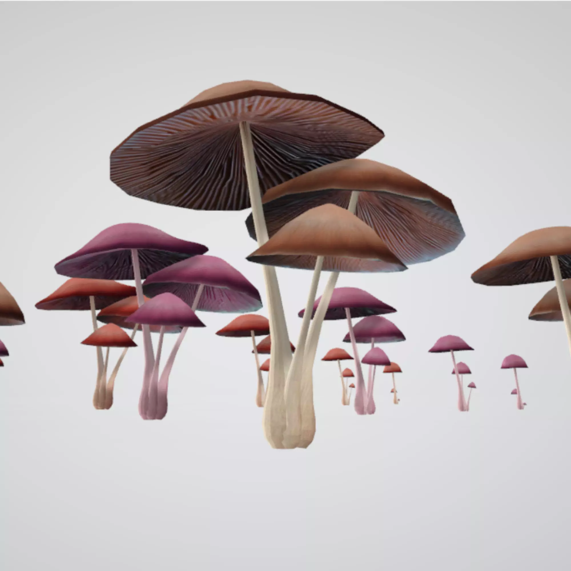 Mushroom Psilocybe Sizes Colors Low-poly 3D model