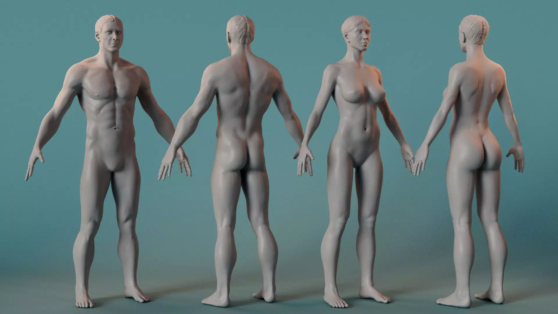 Female Male Basemesh 3D model_0