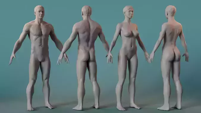 Female Male Basemesh 3D model