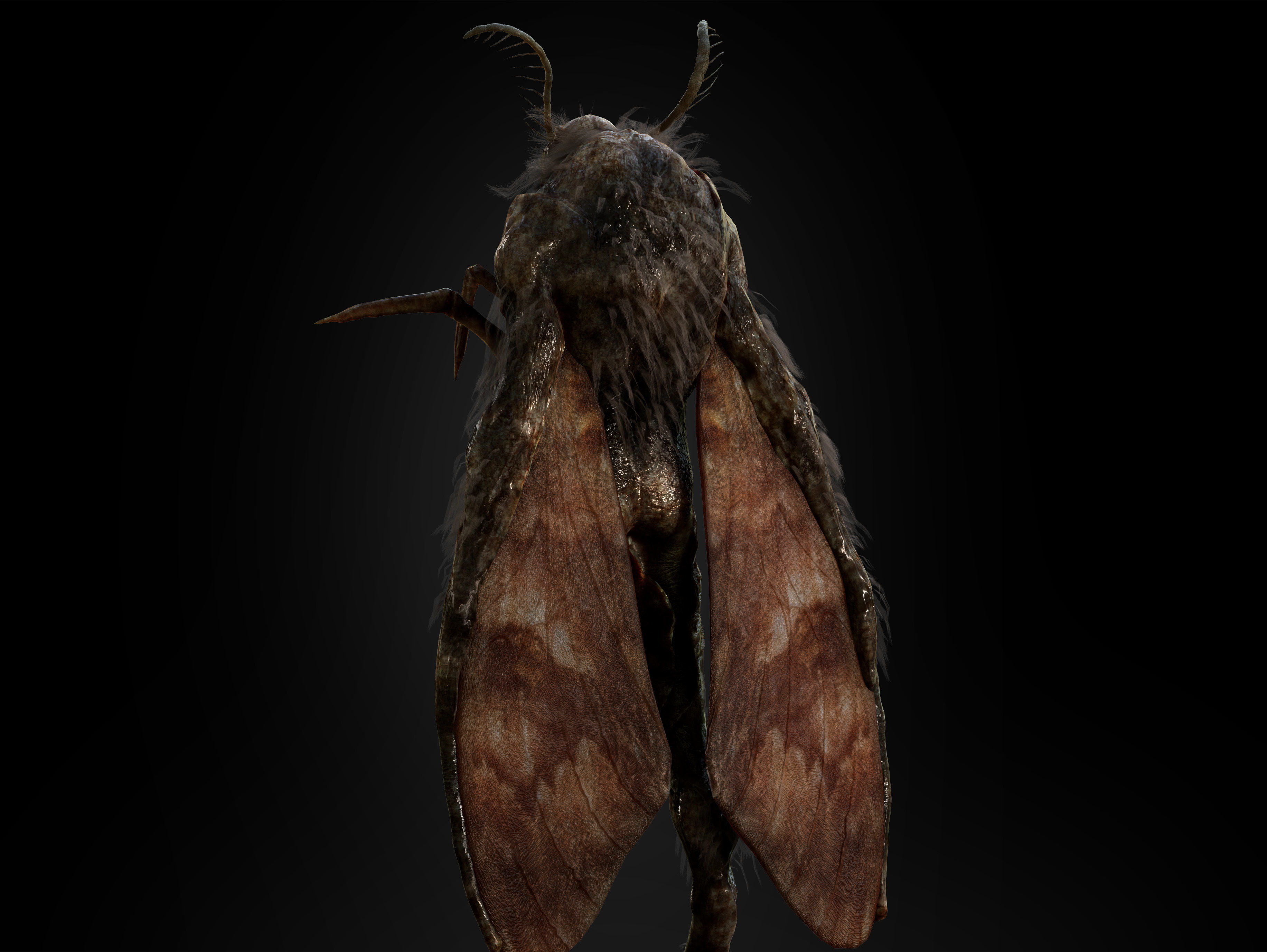 Mothman Low-poly 3D model_3