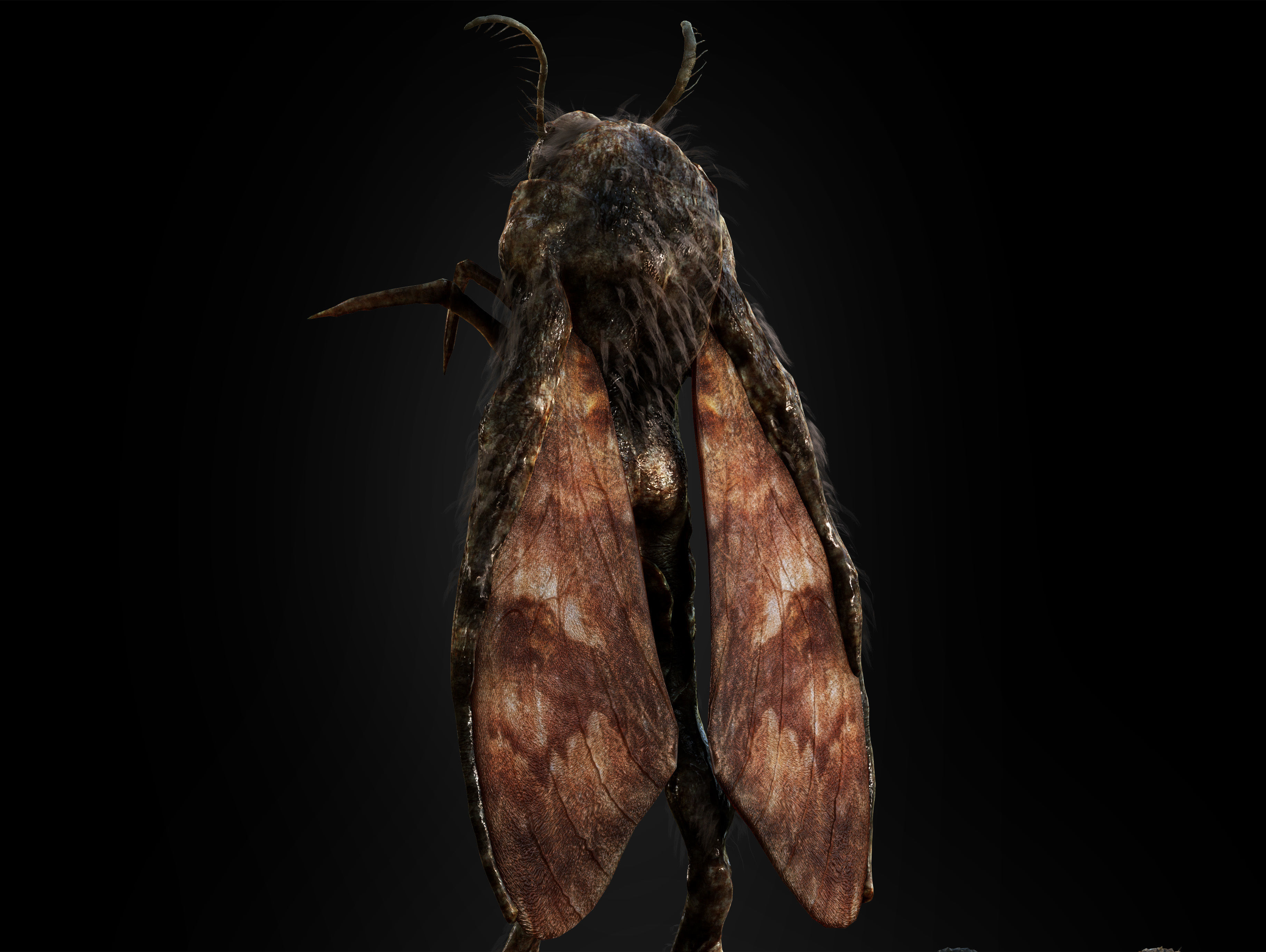 Mothman Low-poly 3D model_13