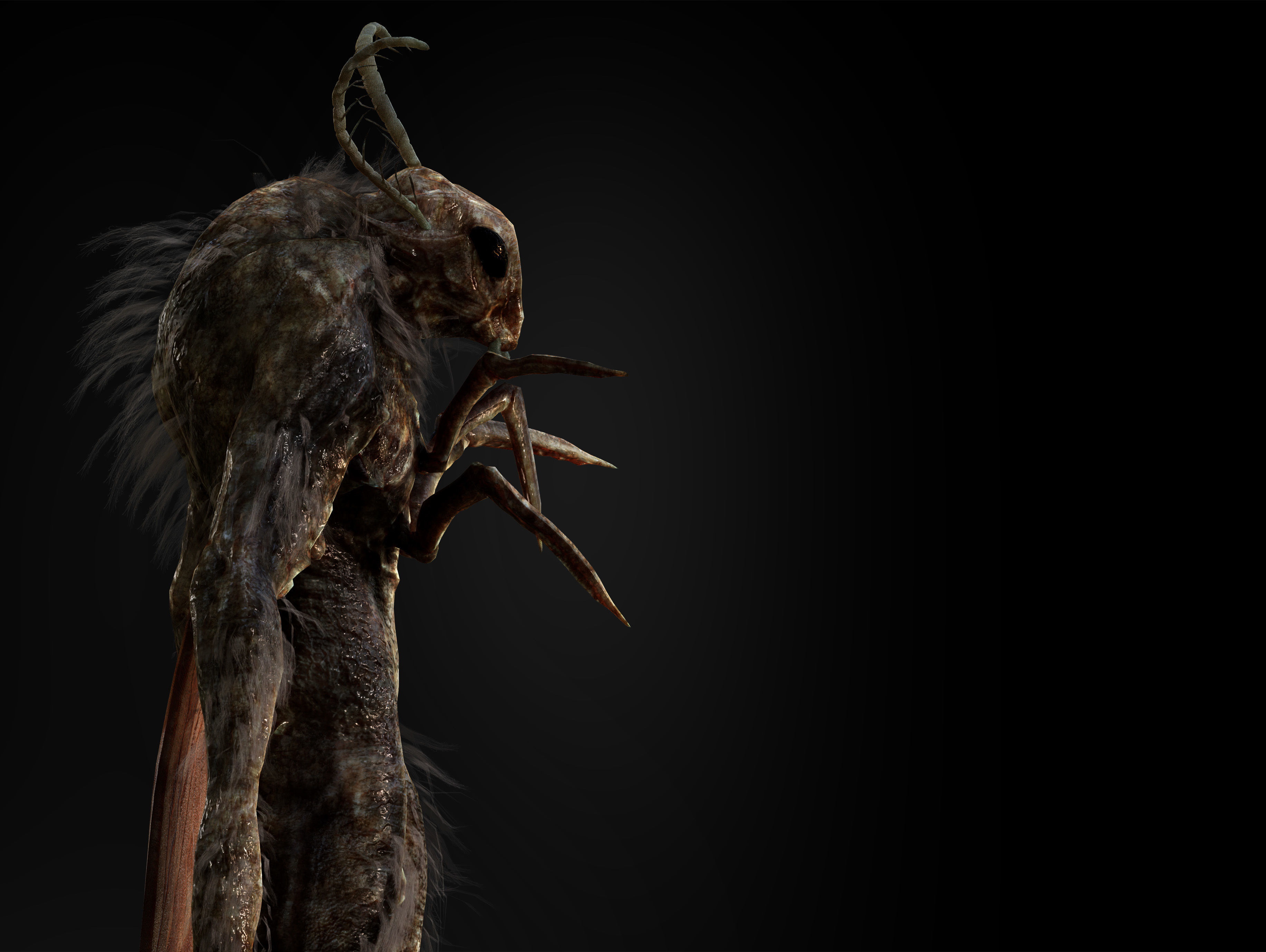 Mothman Low-poly 3D model_4