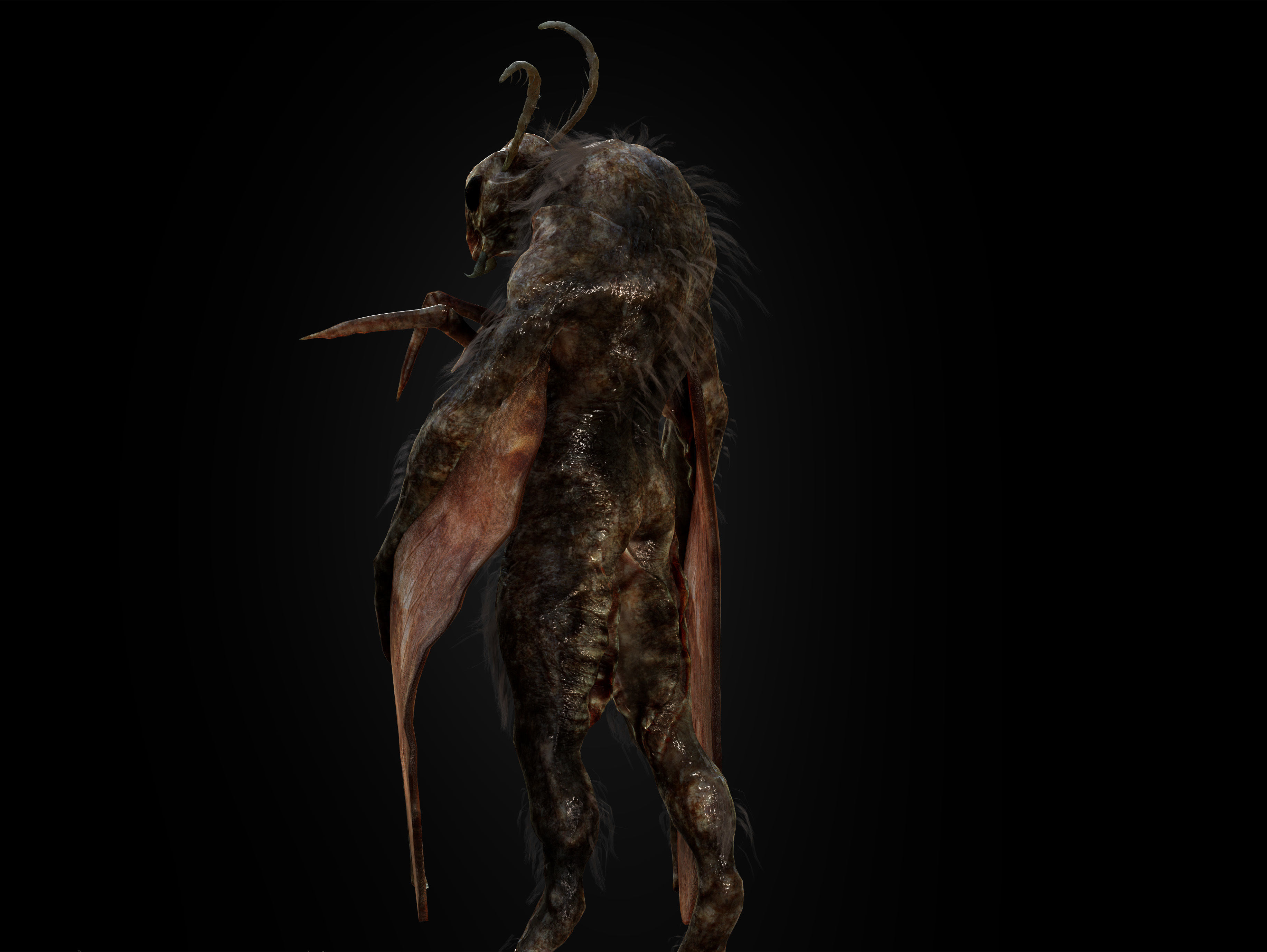 Mothman Low-poly 3D model_8