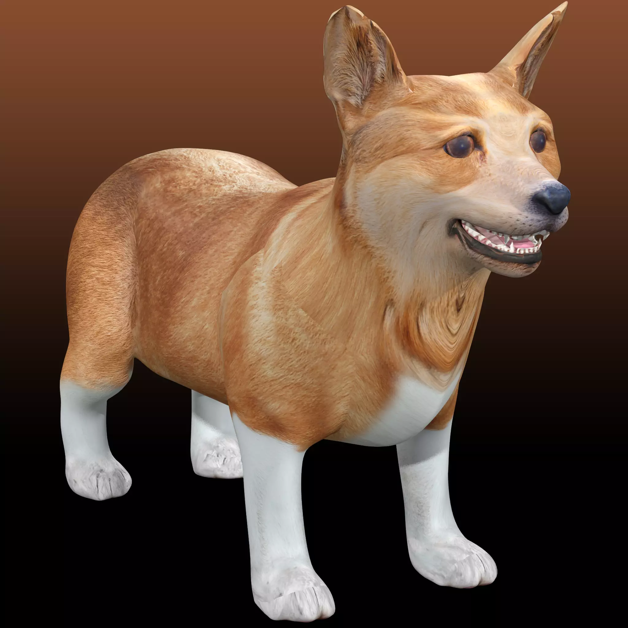 Corgi - Dog Low-poly 3D model