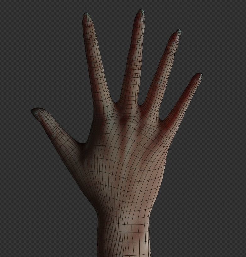 hand for games and animations Low-poly 3D model_6