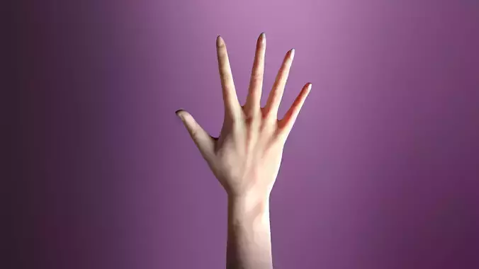 hand for games and animations