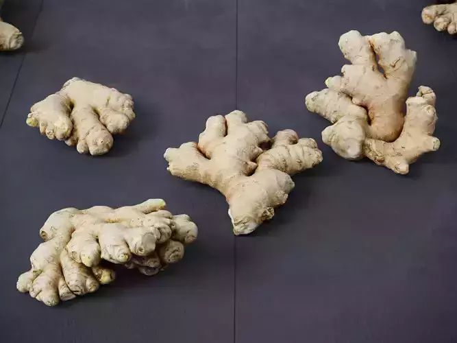 Ginger 3D model